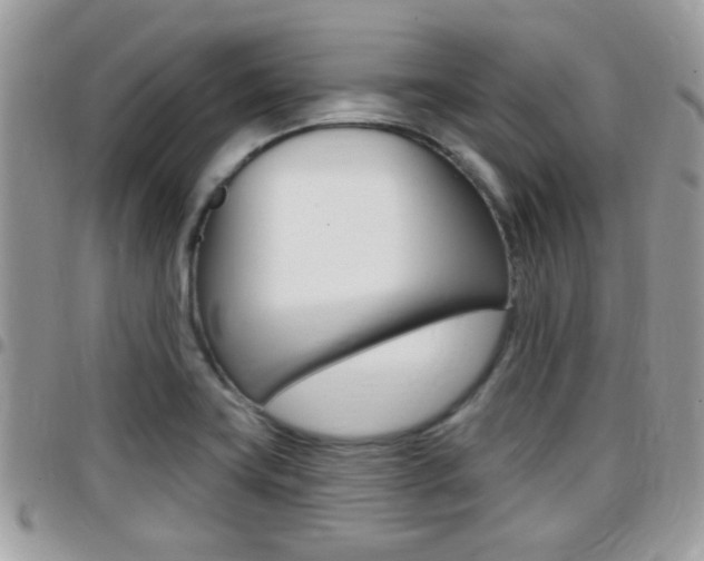X0000096151419200801180819