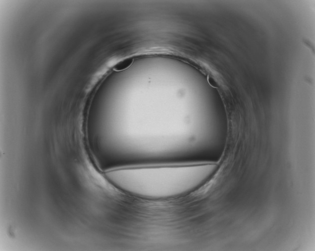 X0000096151422200801180819