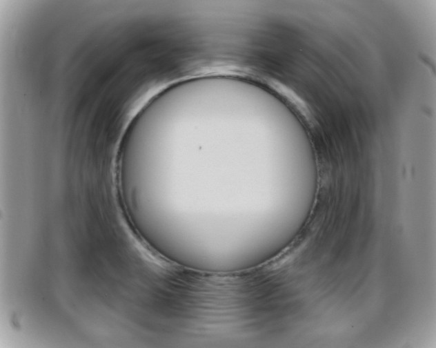 X0000096151423200801180819