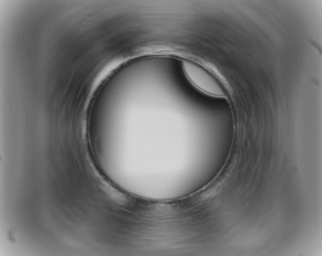 X0000096151424200801180819