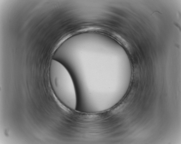 X0000096151425200801180819