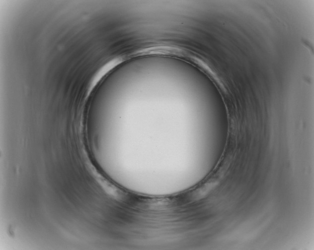X0000096151426200801180819