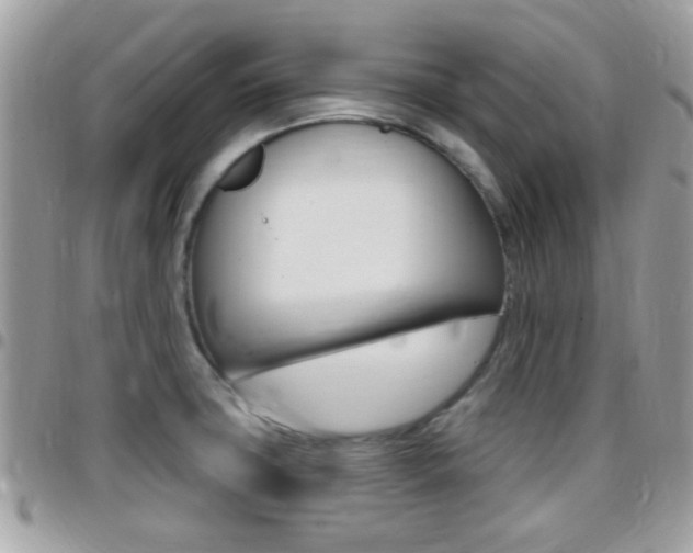 X0000096151427200801180819