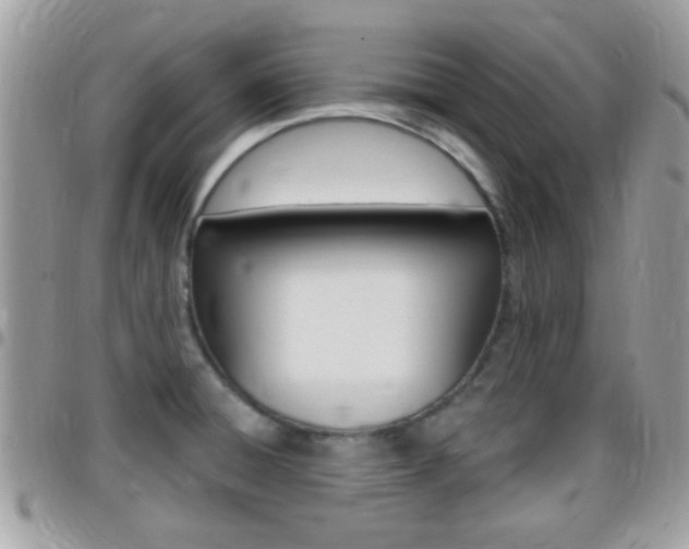 X0000096151428200801180819