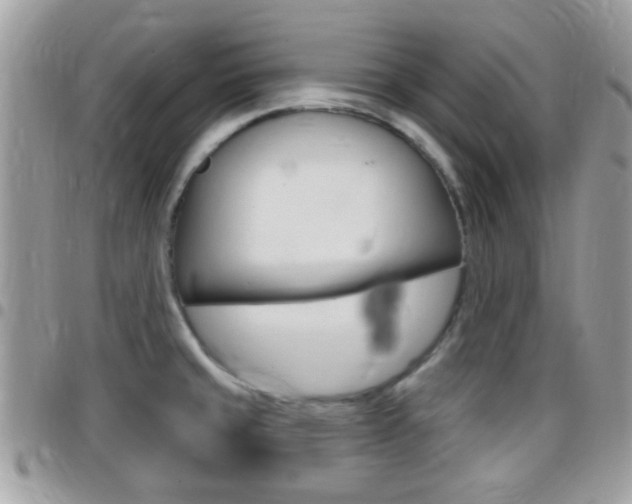 X0000096151429200801180819