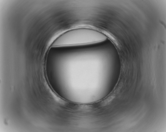 X0000096151430200801180819