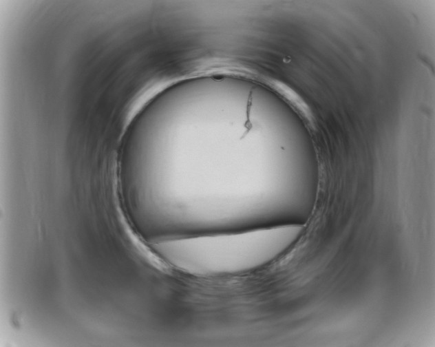 X0000096151431200801180819
