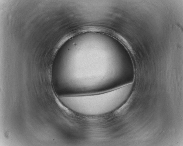 X0000096151433200801180819