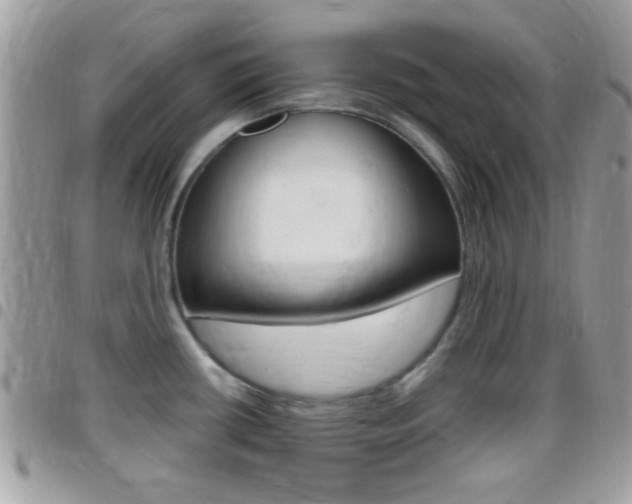 X0000096151434200801180819