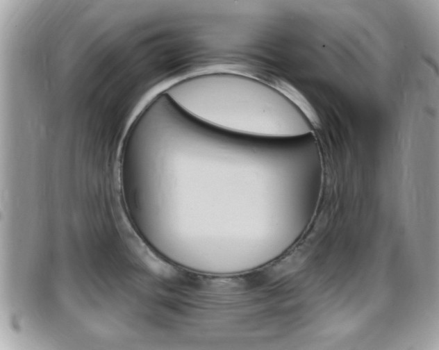 X0000096151436200801180819