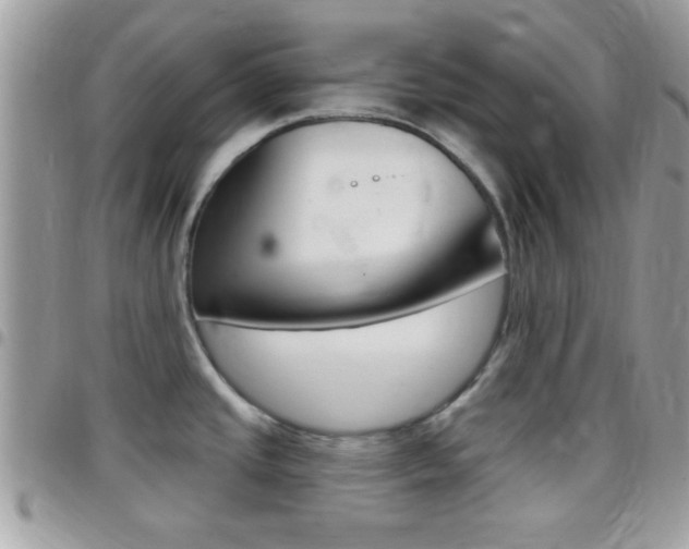 X0000096151437200801180819