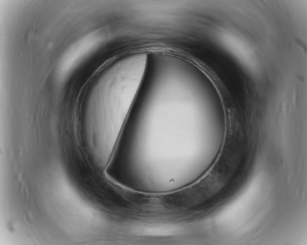 X0000096151438200801180819