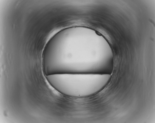 X0000096151439200801180820