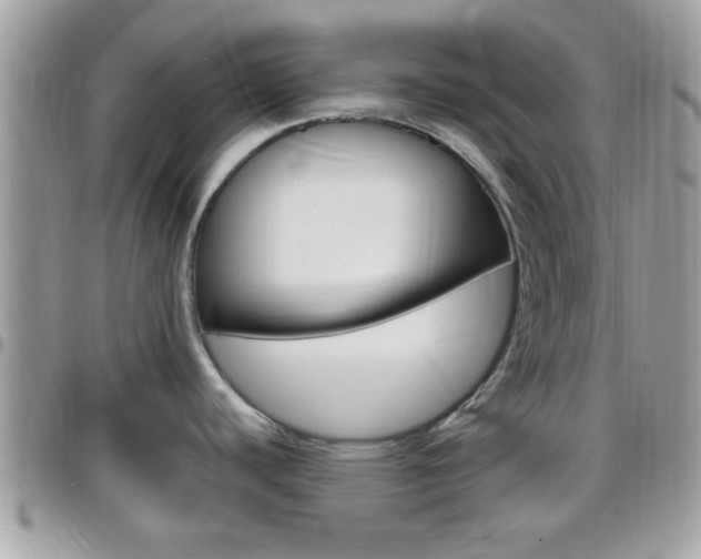 X0000096151440200801180820