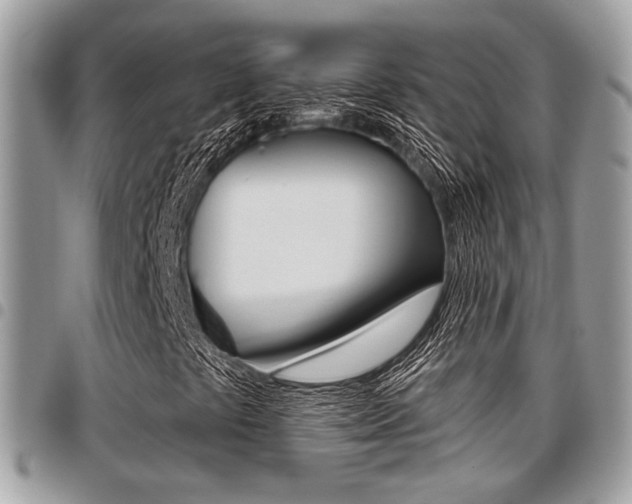 X0000096151441200801180819