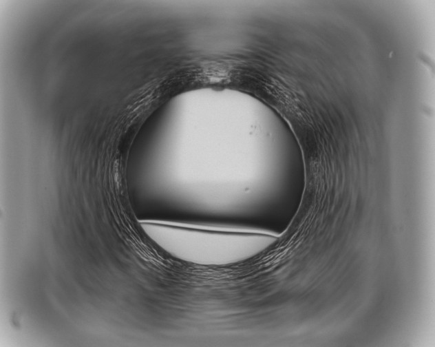 X0000096151442200801180819