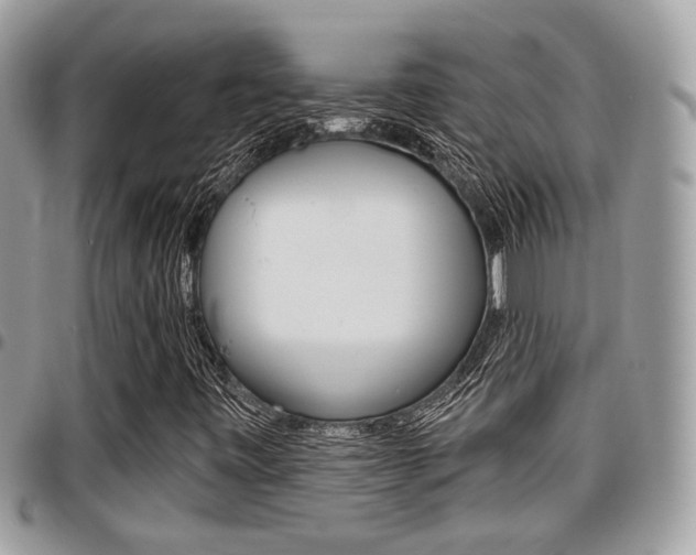 X0000096151443200801180819