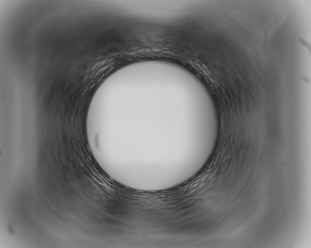 X0000096151444200801180819