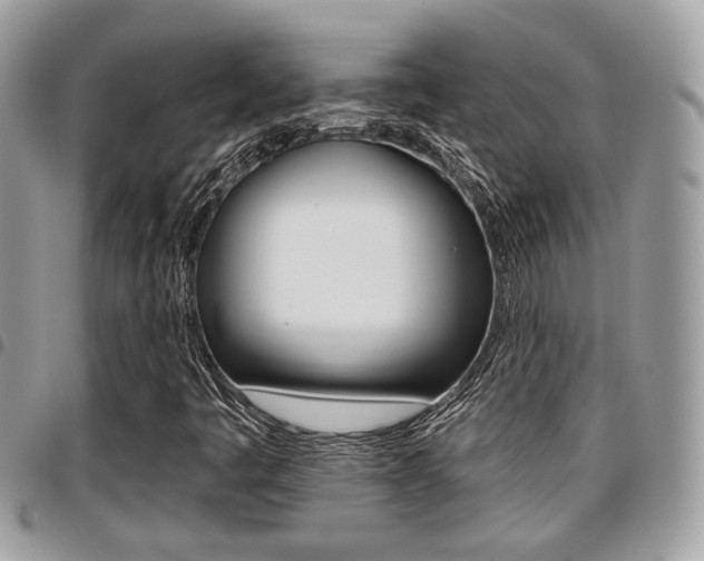 X0000096151445200801180819