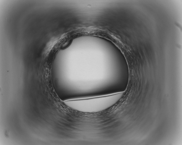 X0000096151447200801180819