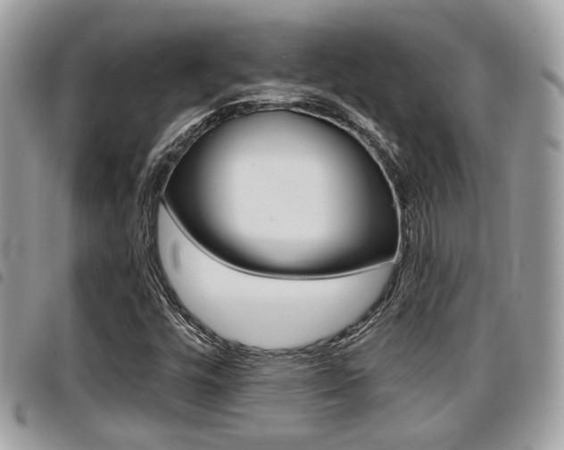 X0000096151448200801180819