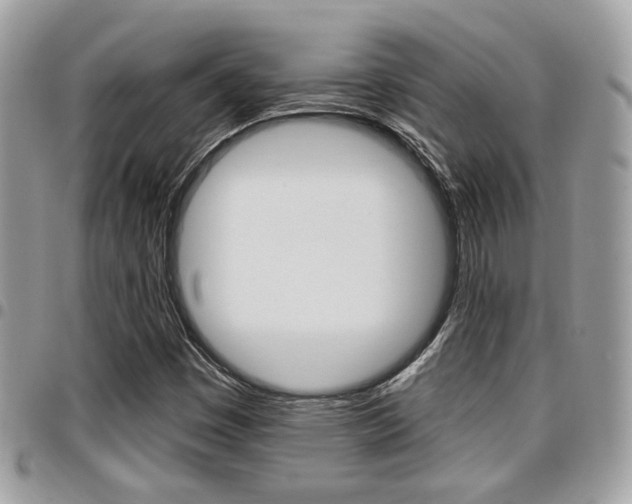 X0000096151449200801180819