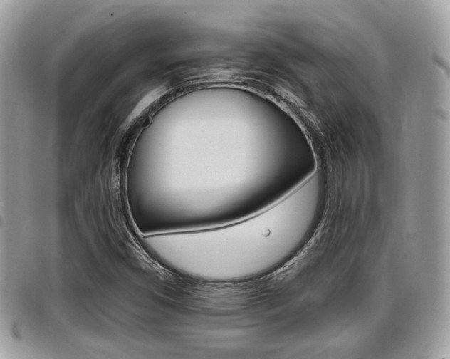 X0000096151450200801180819