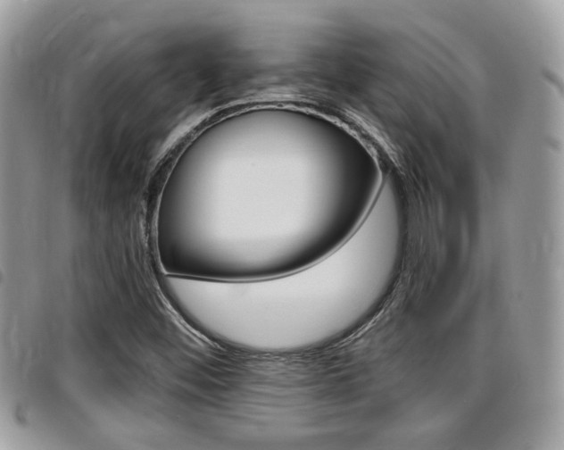X0000096151452200801180819