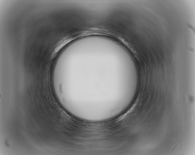 X0000096151453200801180819