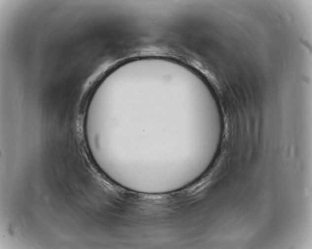 X0000096151454200801180819