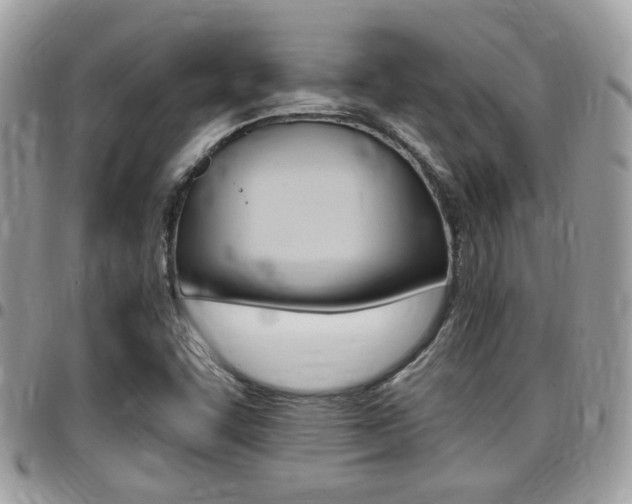X0000096151455200801180819