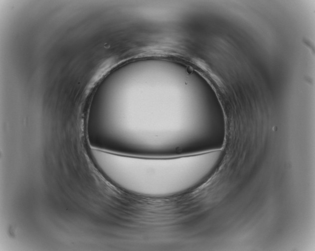 X0000096151459200801180819