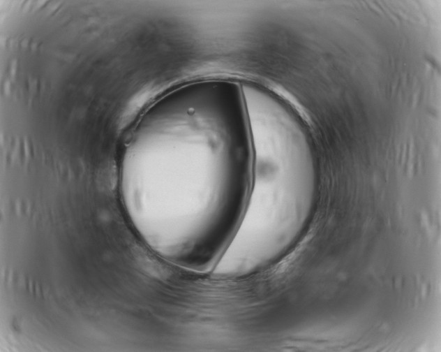 X0000096151461200801180819