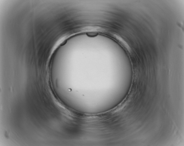X0000096151467200801180819