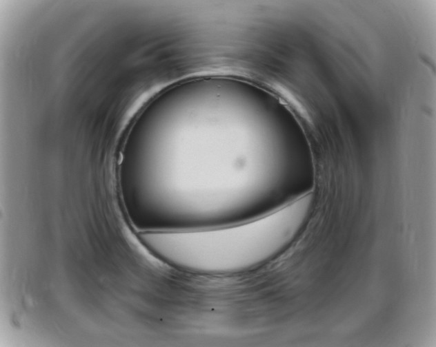 X0000096151468200801180818