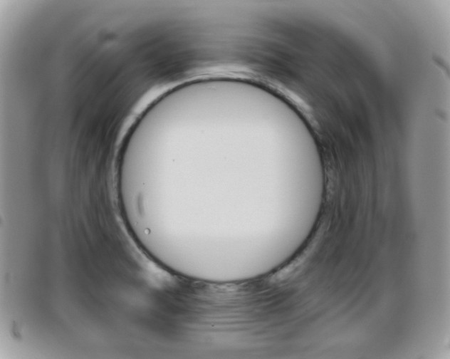 X0000096151470200801180818