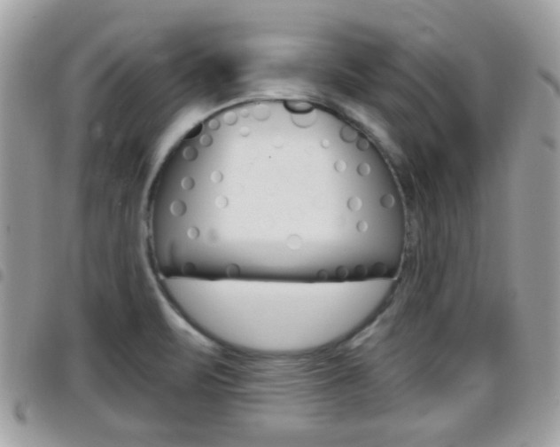 X0000096151471200801180818