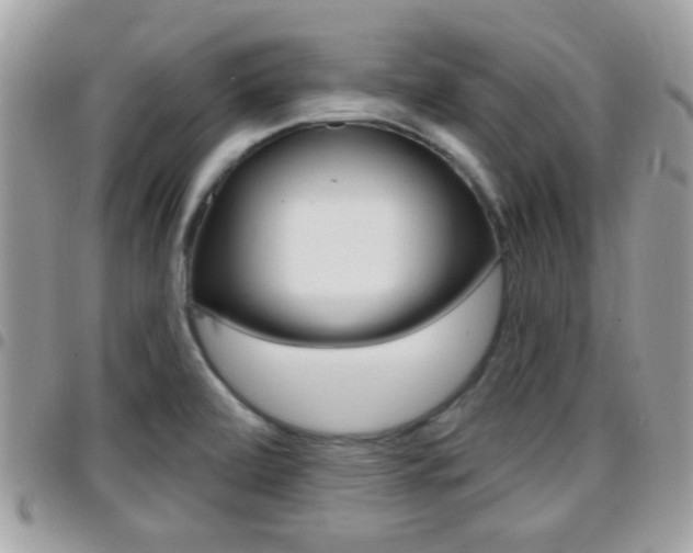 X0000096151472200801180818