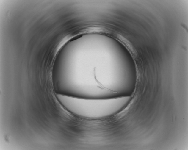 X0000096151473200801180818