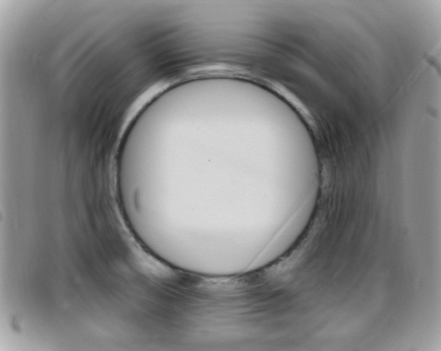 X0000096151474200801180818