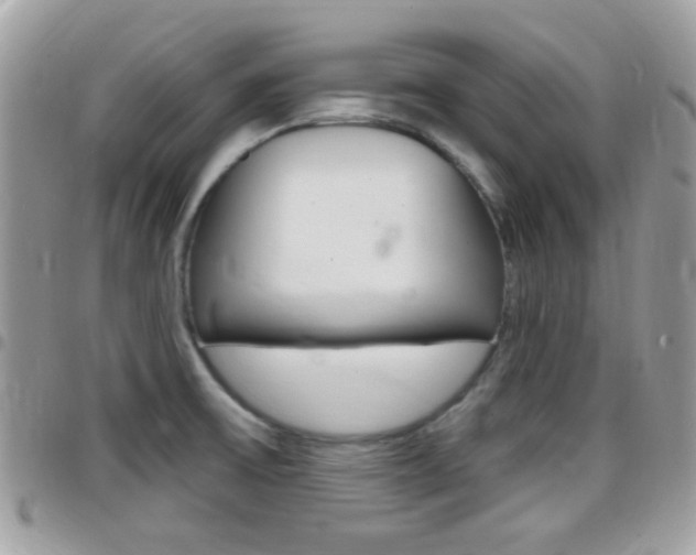 X0000096151475200801180818