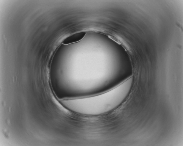 X0000096151476200801180818