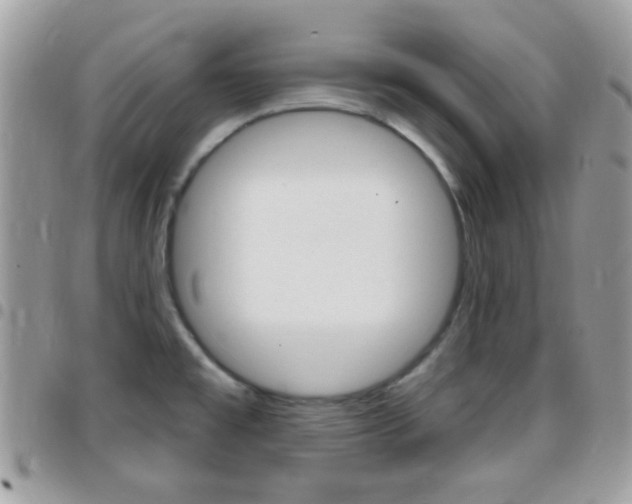 X0000096151477200801180818