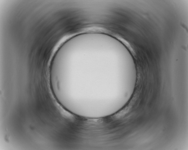 X0000096151478200801180818