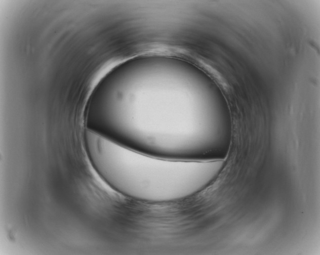 X0000096151479200801180818
