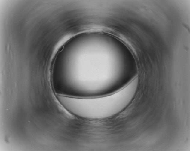 X0000096151480200801180818