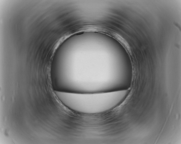 X0000096151481200801180818