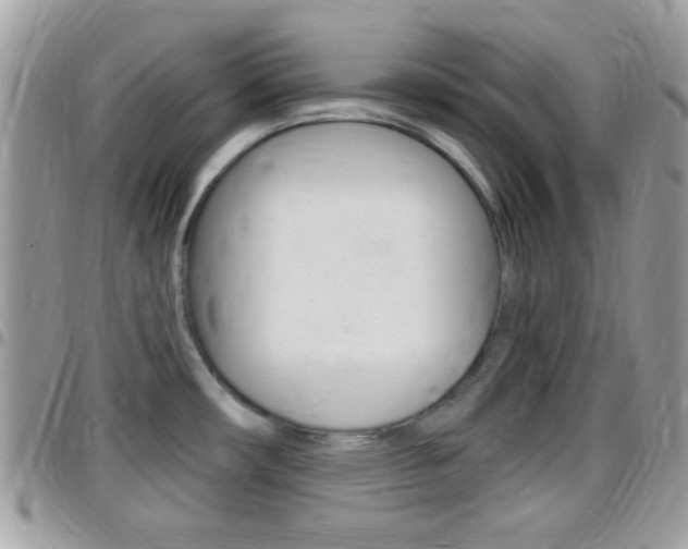X0000096151482200801180818