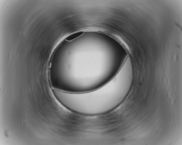X0000096151484200801180818