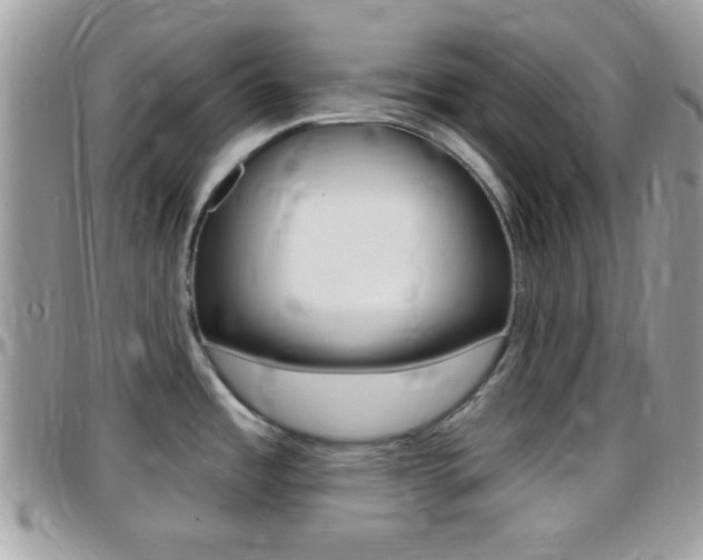 X0000096151485200801180818